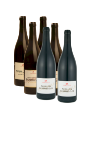 Offre Exclusive de Noël